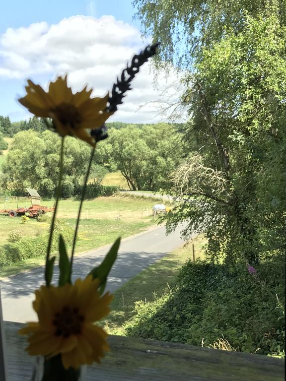 Ferienwohnung Schloessershof Borler Kültér fotó