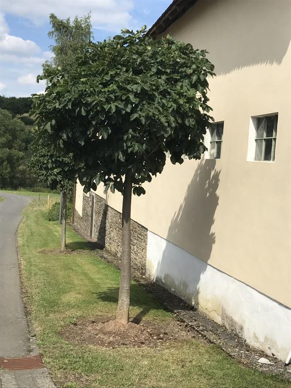 Ferienwohnung Schloessershof Borler Kültér fotó